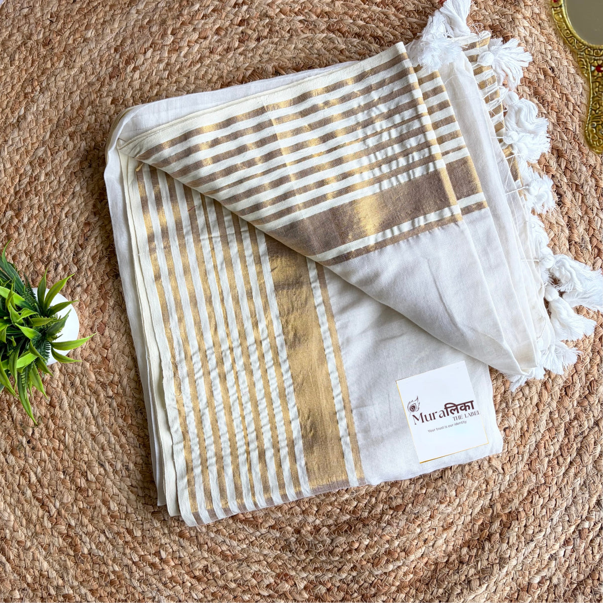 Shwet white mulmul cotton saree draped to show the gold border